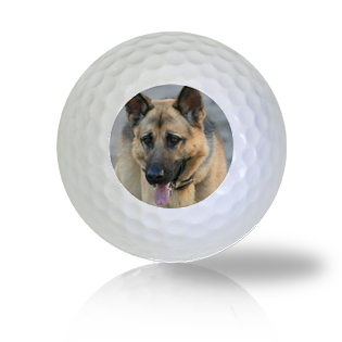 German Shepard Golf Balls Used Golf Balls Halfpricegolfballs